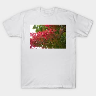 Red green autumn maple leaves T-Shirt